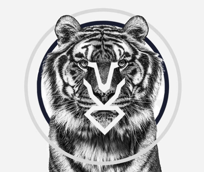 Diamond Herd AI analytics dashboard