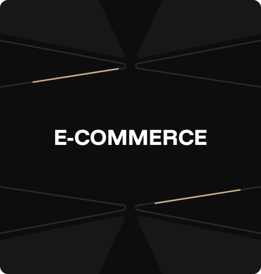 Team.XIV e-commerce development process with storefront design and shopping cart